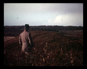 Looking over Egdon Heath